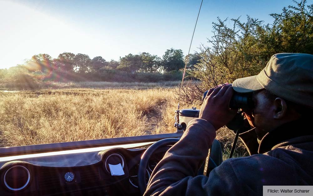 Top 7 spullen die je op safari - Zuid-Afrika.nl